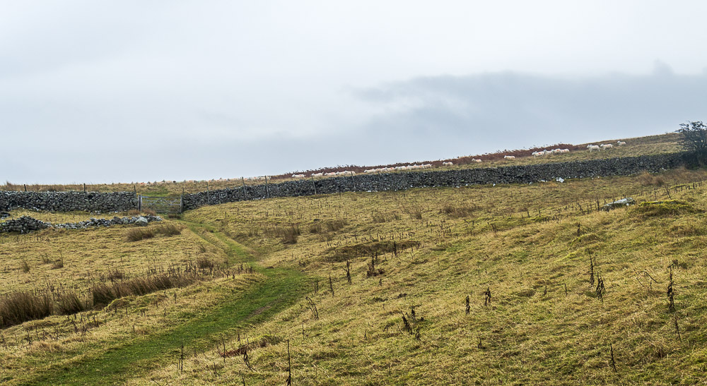 Rosgill Moor Rosgill Moor